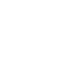 The Arch Guitars